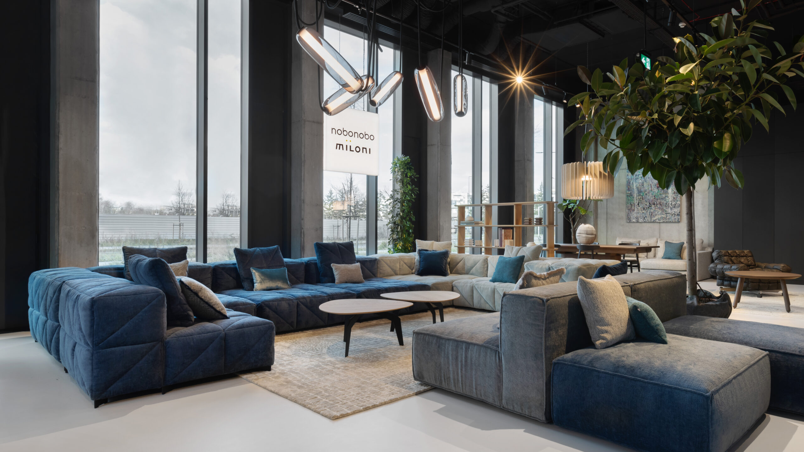 Showroom 13